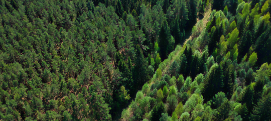 Investing in a Smarter, Digitally Connected Future.