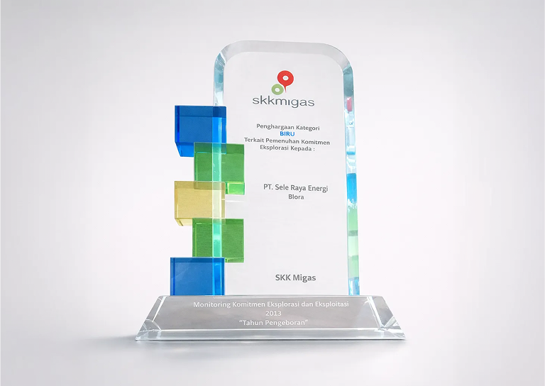 Gold Category Award for Commitment of Exploration