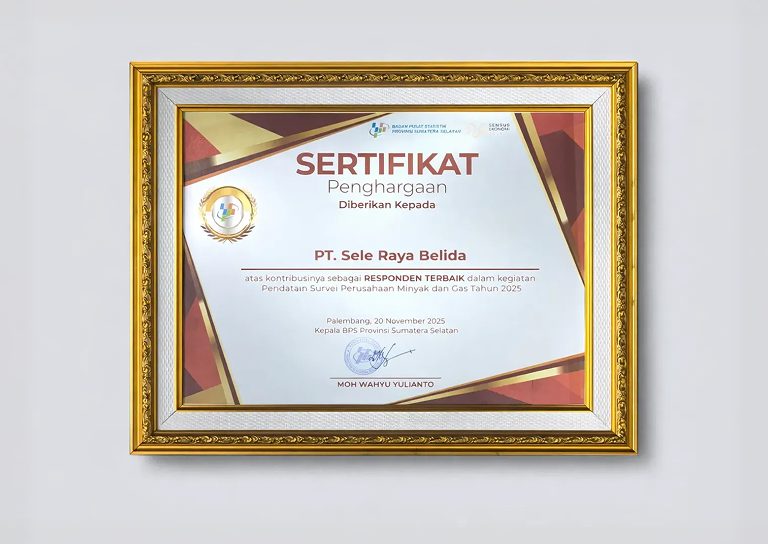 Awards from Badan Pusat Statistik (BPS) “Best Respondents”