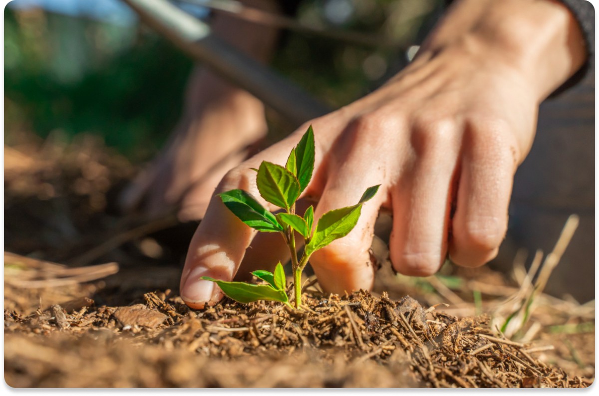 Our Operations Innovation & Efficiency