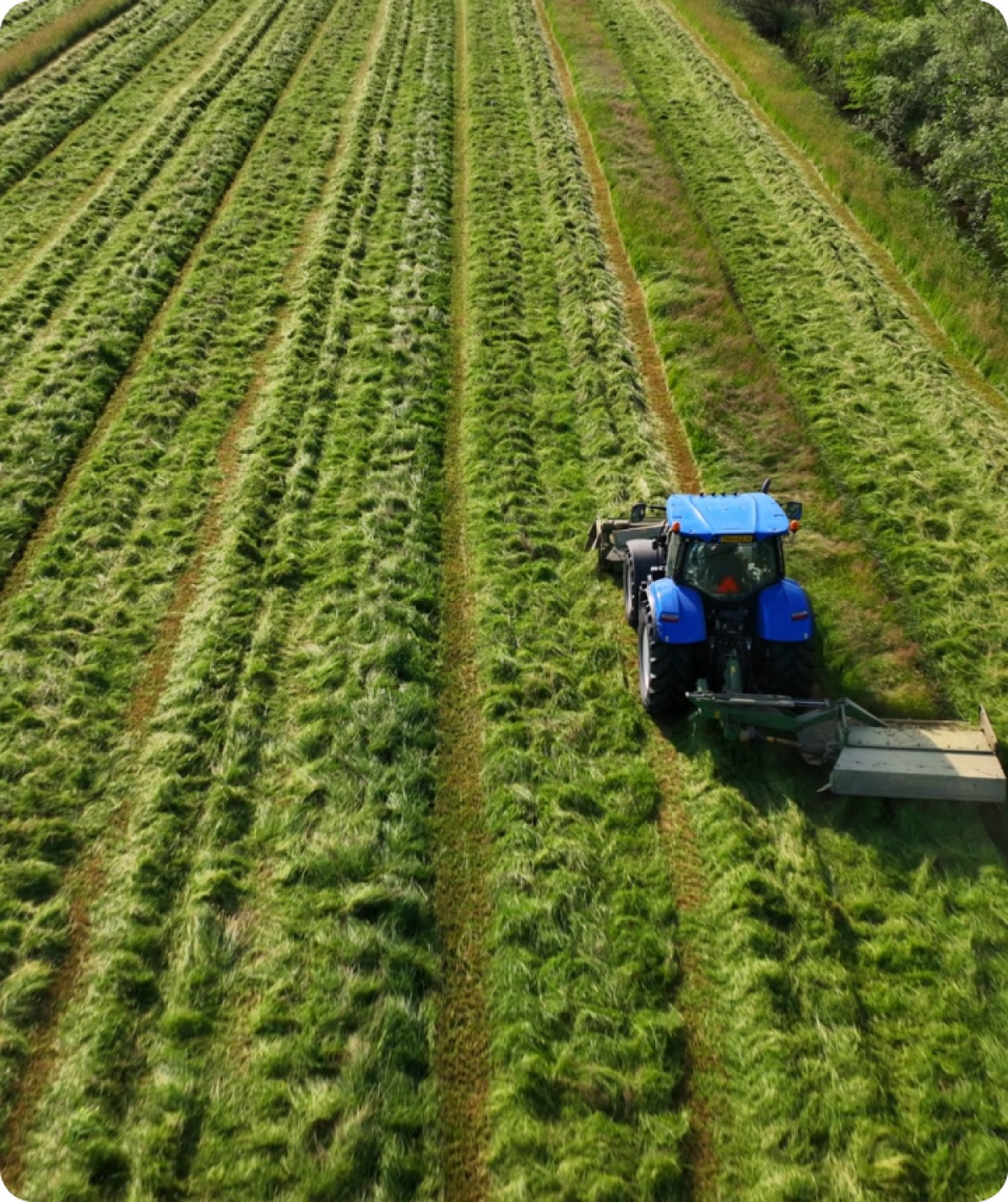 Why Choose PT Sele Raya Mining?