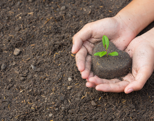 Environmental Stewardship & Climate Action