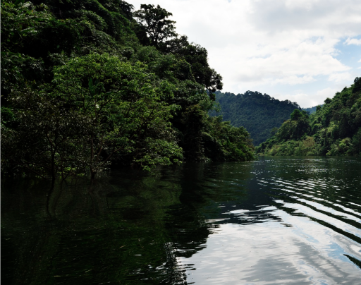 Protecting Ecosystems, Preserving Resources